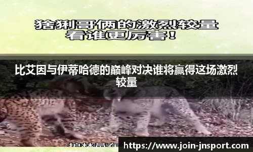 江南体育